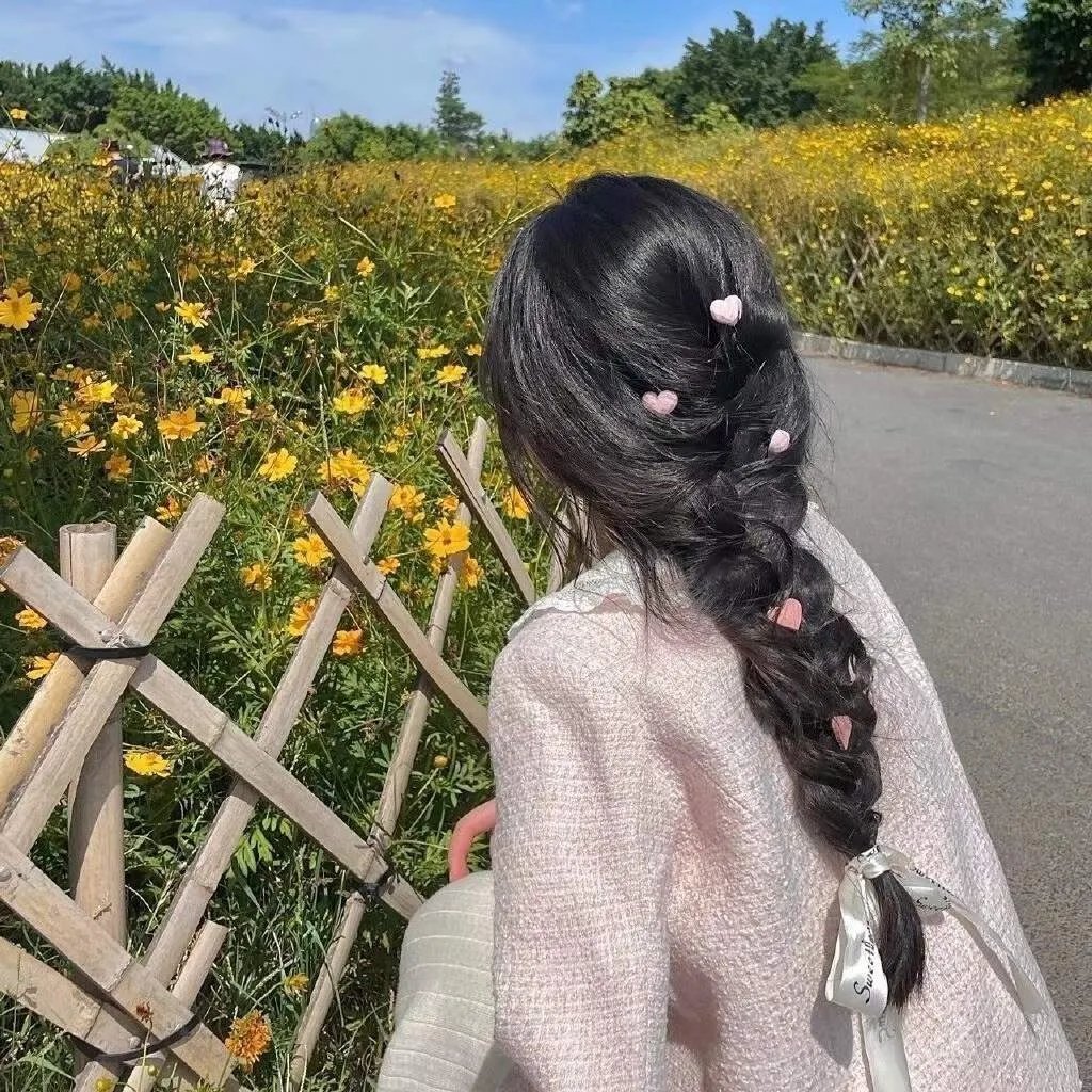 森林进化论