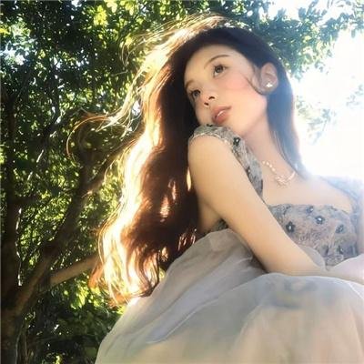 完美的独裁国家